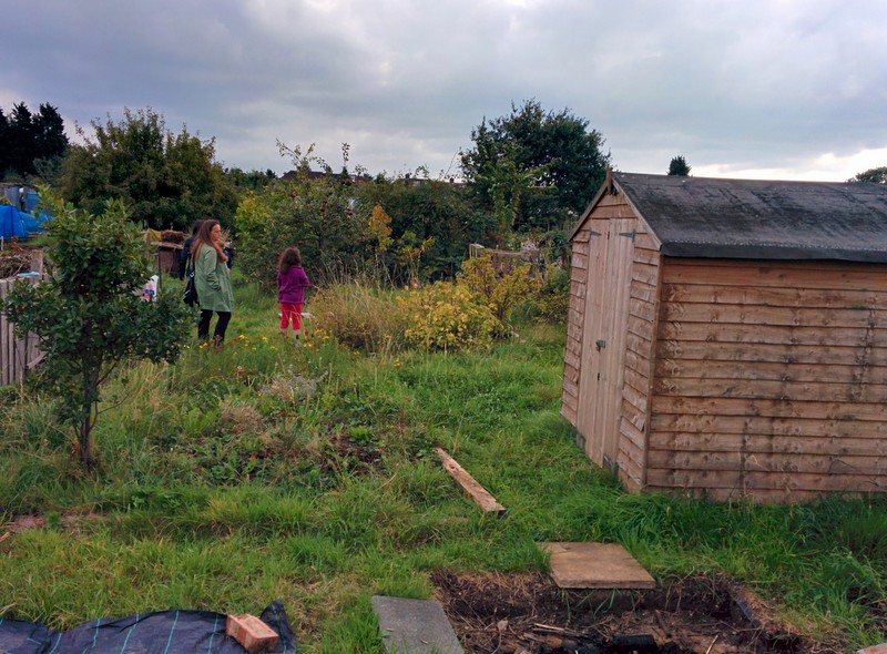 First day at the testing allotment