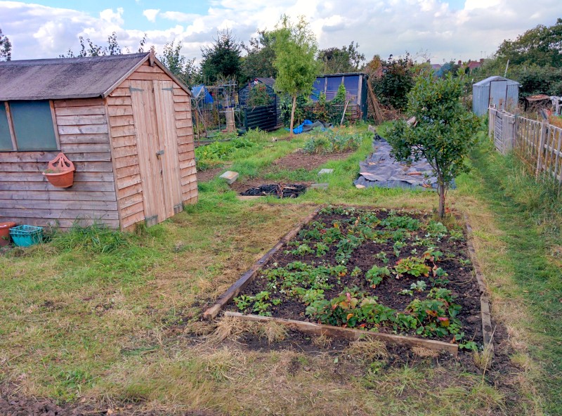 After the first autumn clean up