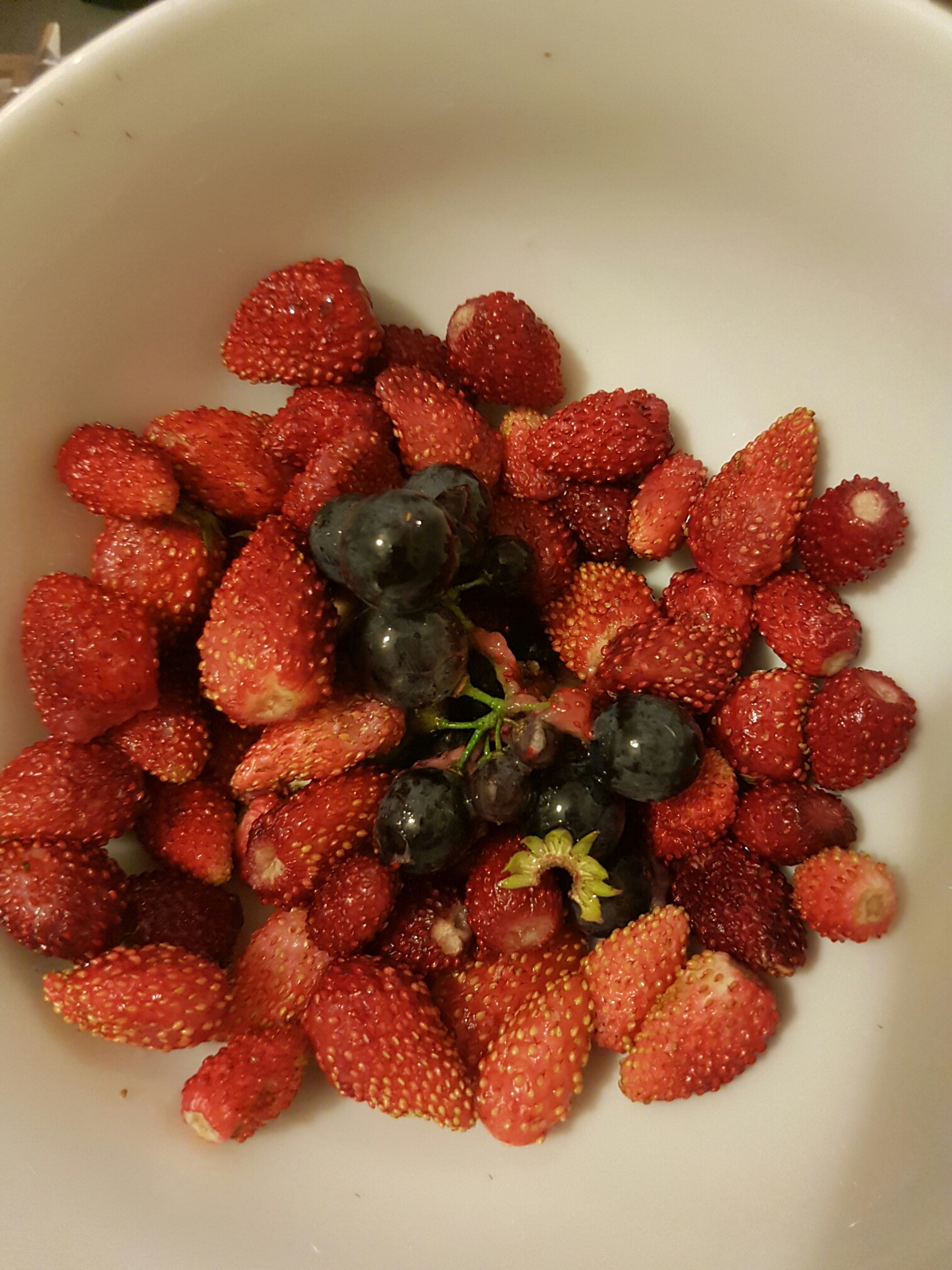 Wild strawberries and grapes